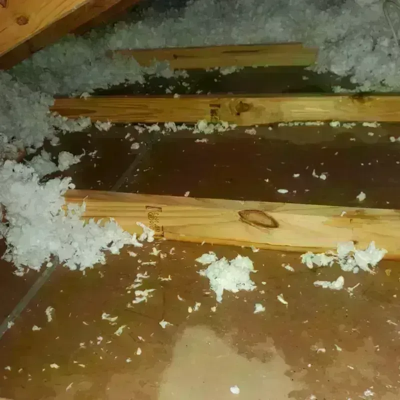 Attic Water Damage in Lincoln, NE