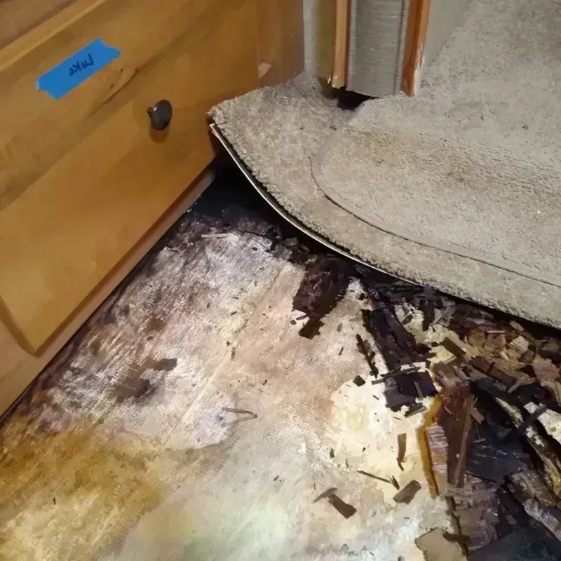 Wood Floor Water Damage in Lincoln, NE